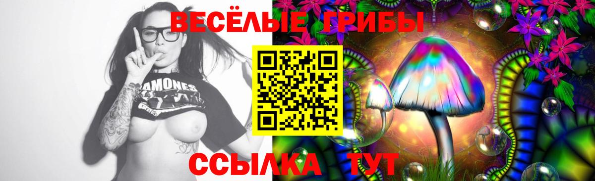 Галлюциногенные грибы Psilocybe  Галлюциногенные грибы Psilocybine cubensis  Хабаровск  Вход с VPN 